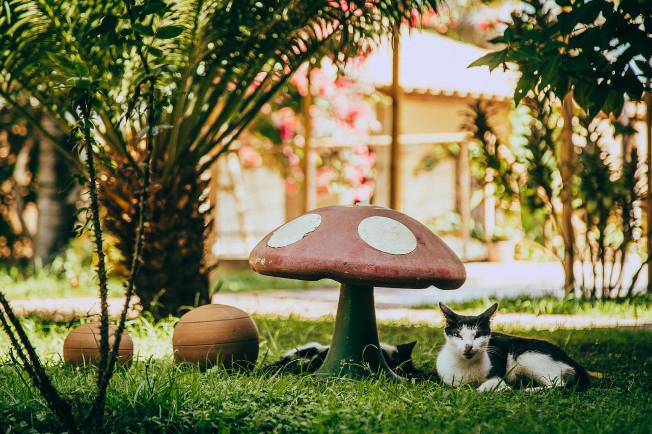 Pousada Boa Vista Barreirinhas Ngoại thất bức ảnh